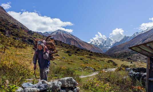 Au loin le Tserko Ri (4990m) qui domine Kyanjin Gompa.