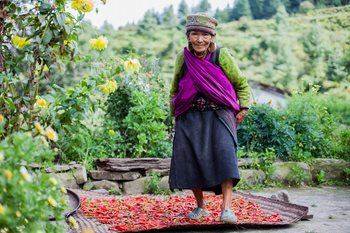 Trek Tamang Heritage Trail